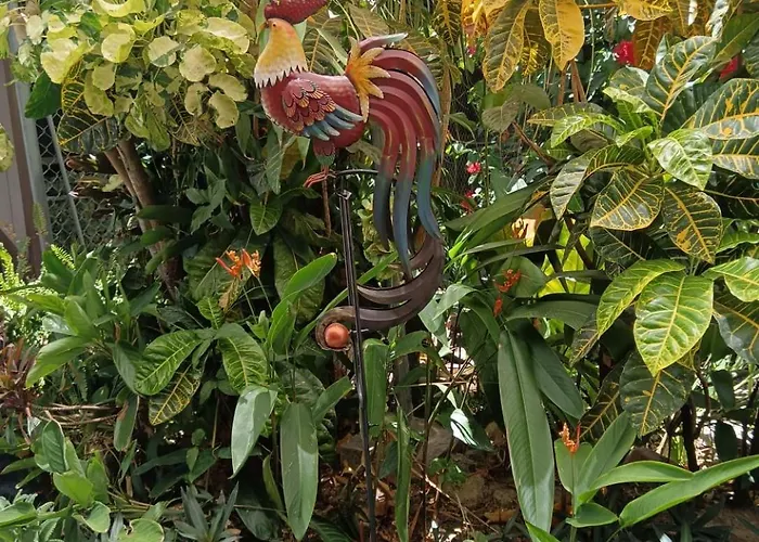 Ferienhaus Gabriela, Casa Tucan Liberia