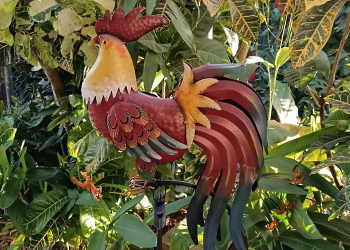 Gabriela, Casa Tucan *
